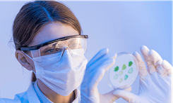 Imagem que representa de maneira visual o curso